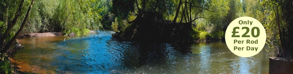 Monnow Valley Fishery - Private Fishing, Rod Hire, Beautiful Welsh Fishing Beat for Grayling and Trout